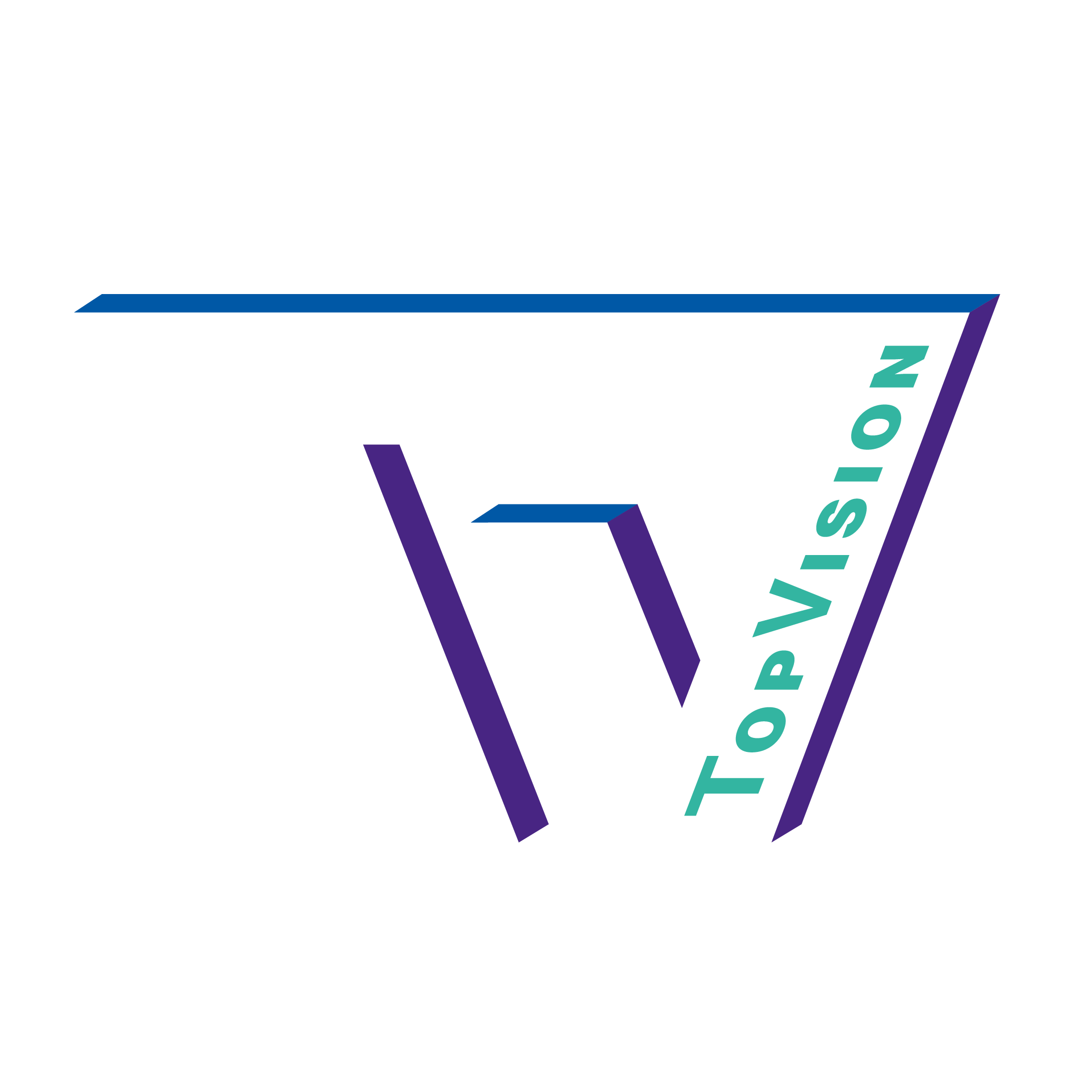 Logo Top Vision